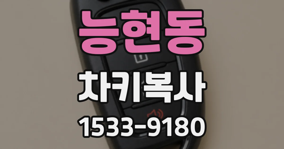 능현동 차키복사