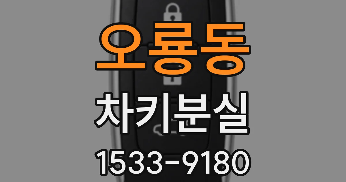 오룡동 차키분실
