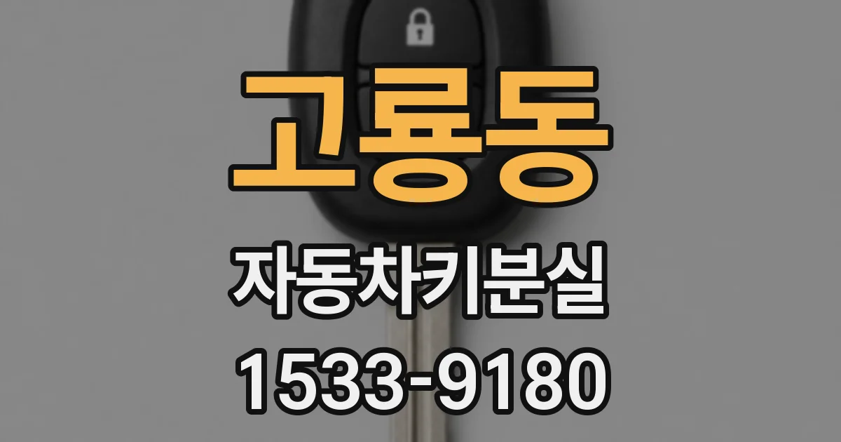 고룡동 자동차키분실