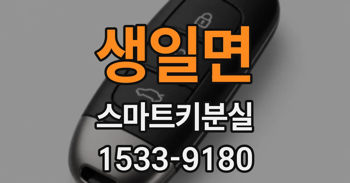 생일면 스마트키분실