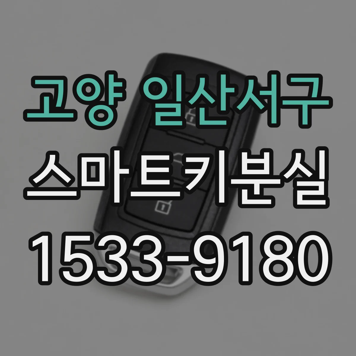 고양 일산서구 스마트키분실