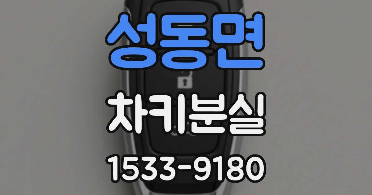 성동면 차키분실