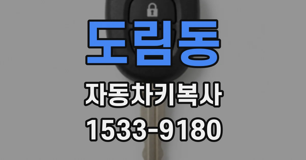 도림동 자동차키복사