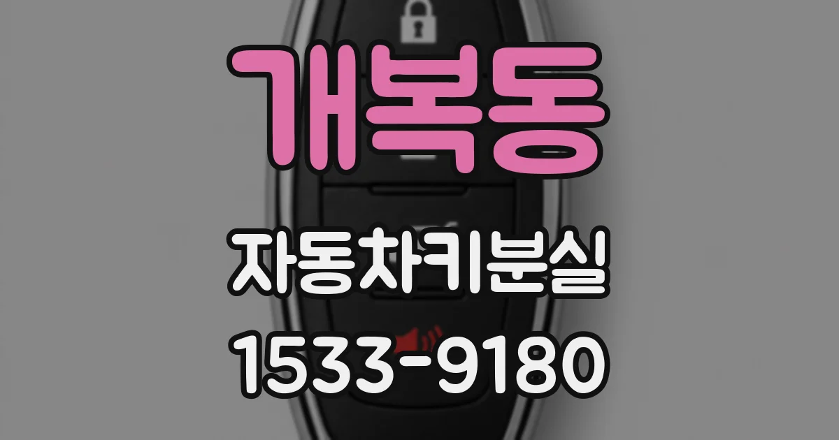 개복동 자동차키분실
