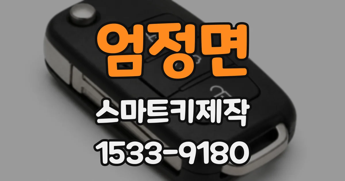 엄정면 스마트키제작