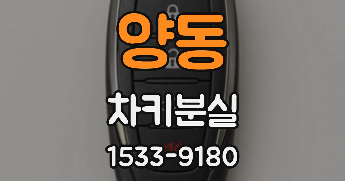 양동 차키분실