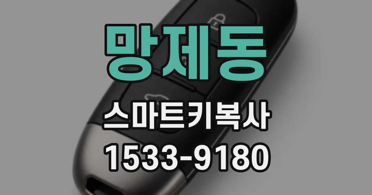 망제동 스마트키복사