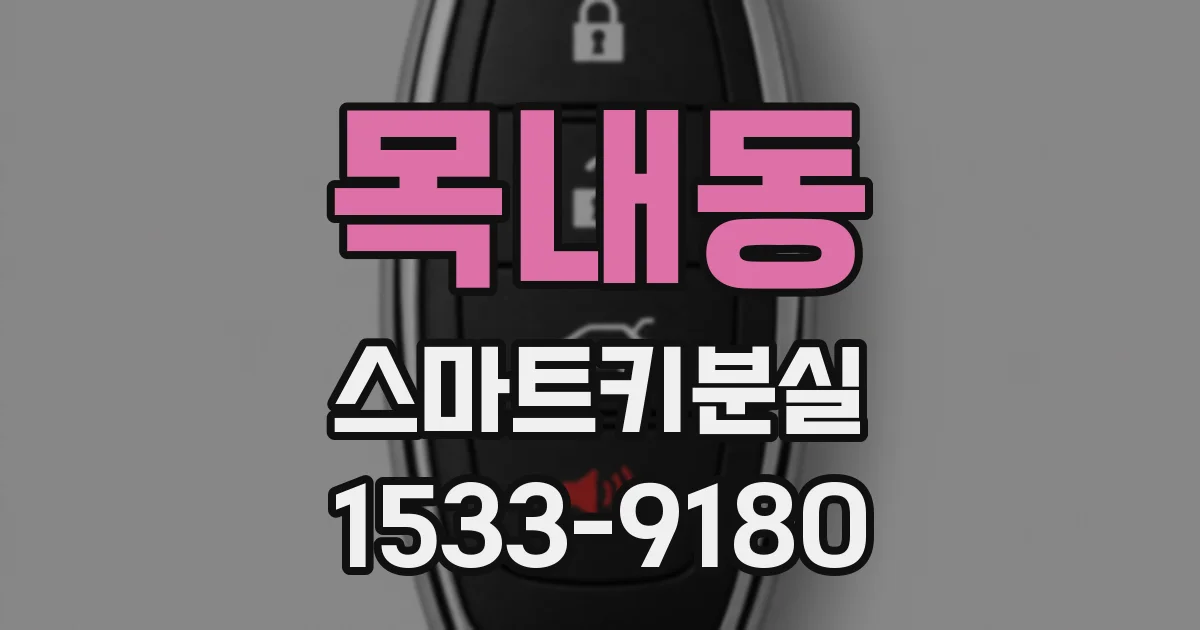 목내동 스마트키분실