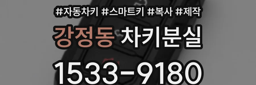 강정동 차키분실