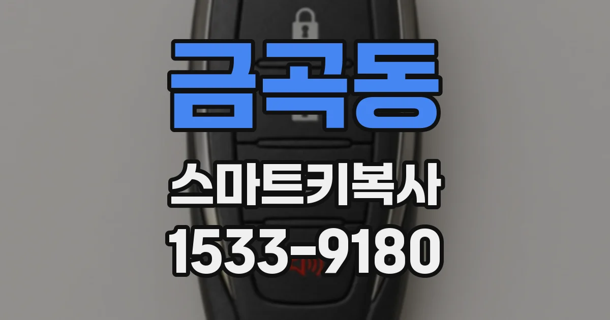 금곡동 스마트키복사