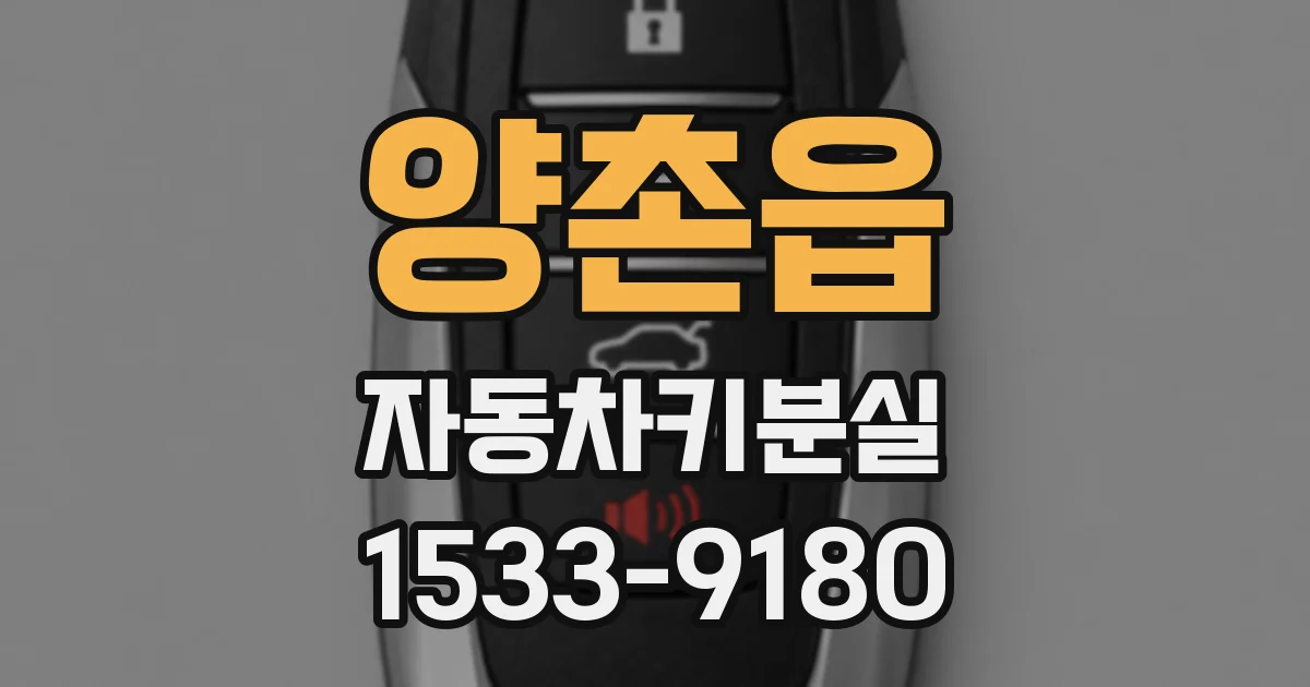 양촌읍 자동차키분실