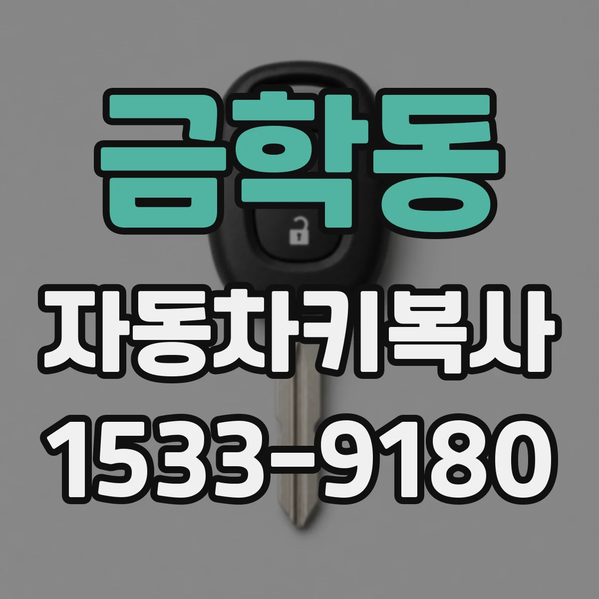 금학동 자동차키복사