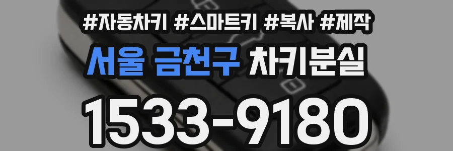 서울 금천구 차키분실
