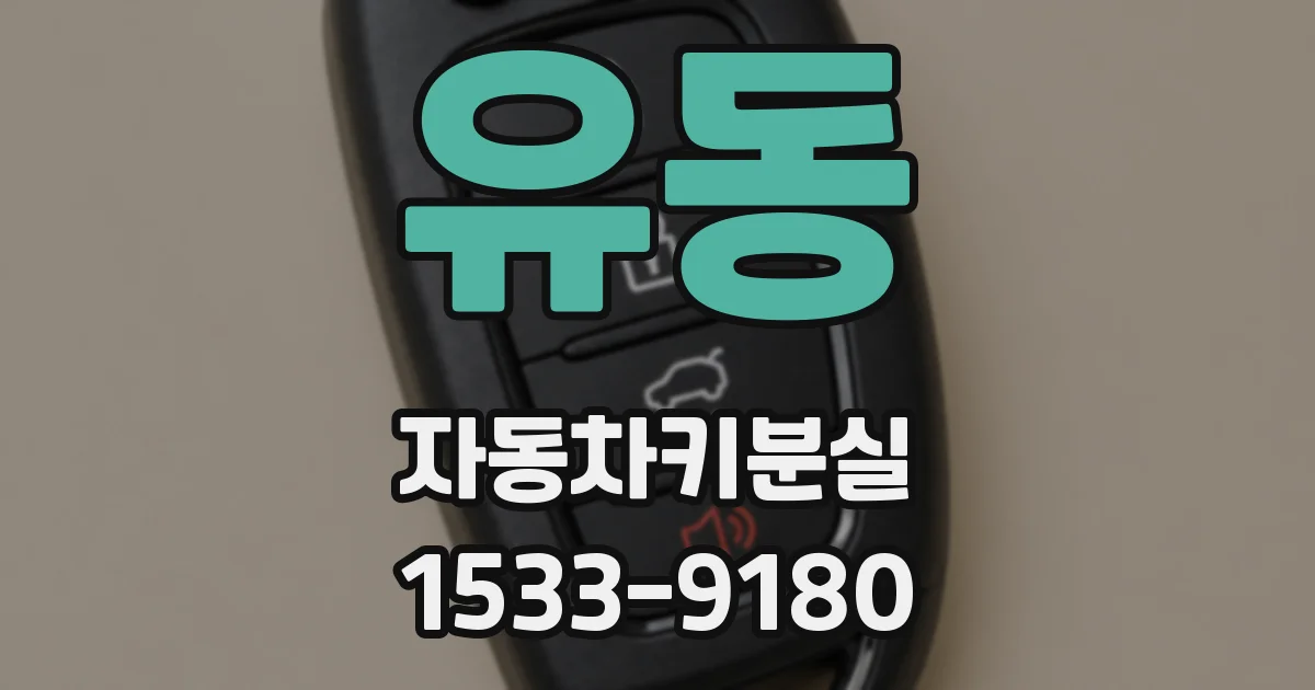 유동 자동차키분실
