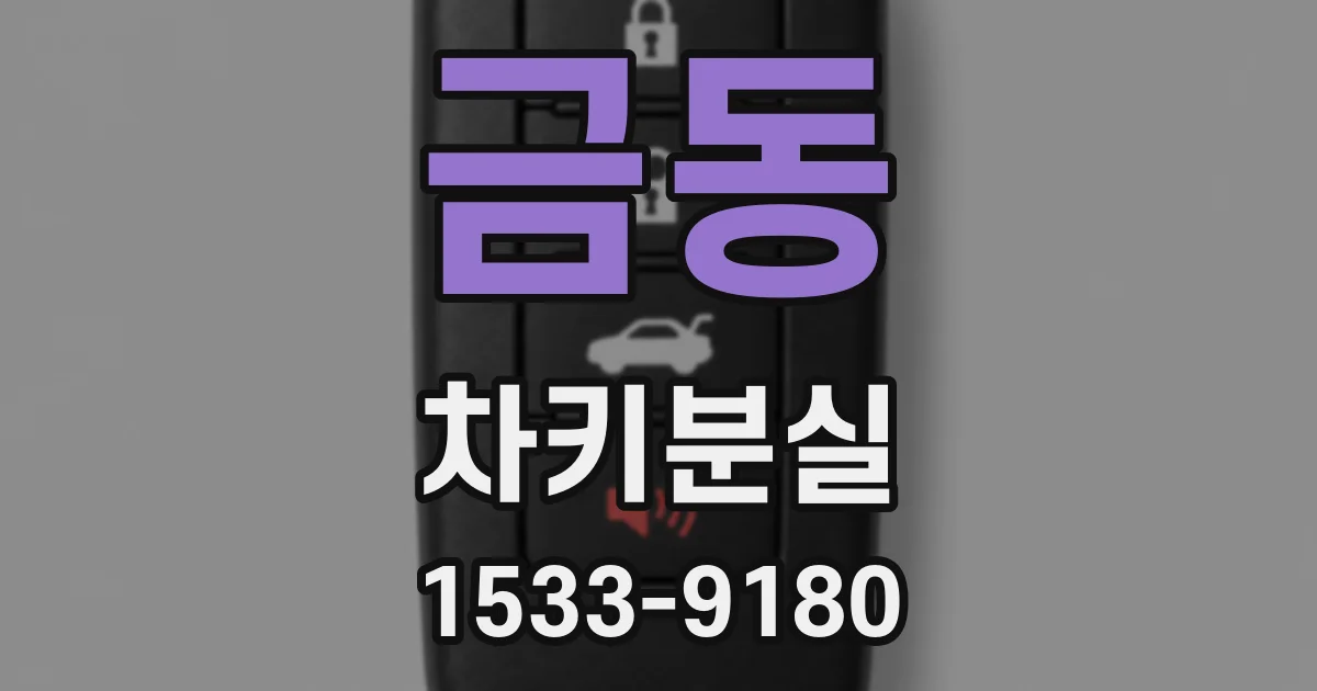 금동 차키분실