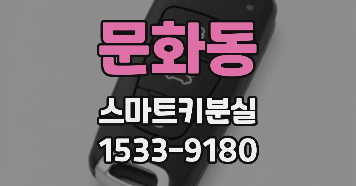문화동 스마트키분실