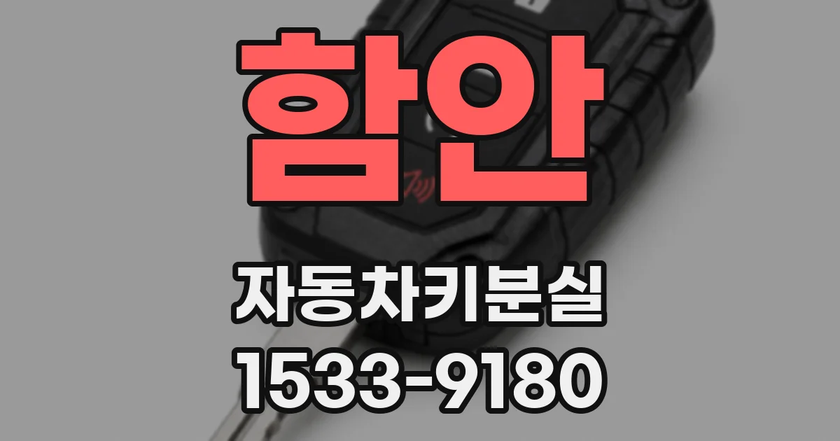 함안 자동차키분실