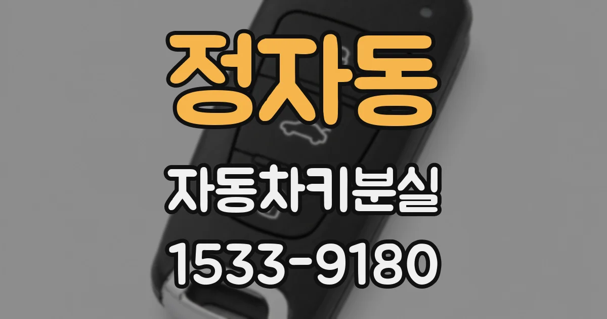 정자동 자동차키분실
