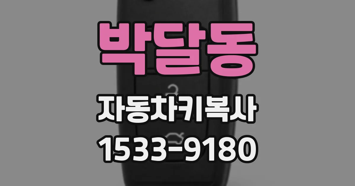 박달동 자동차키복사