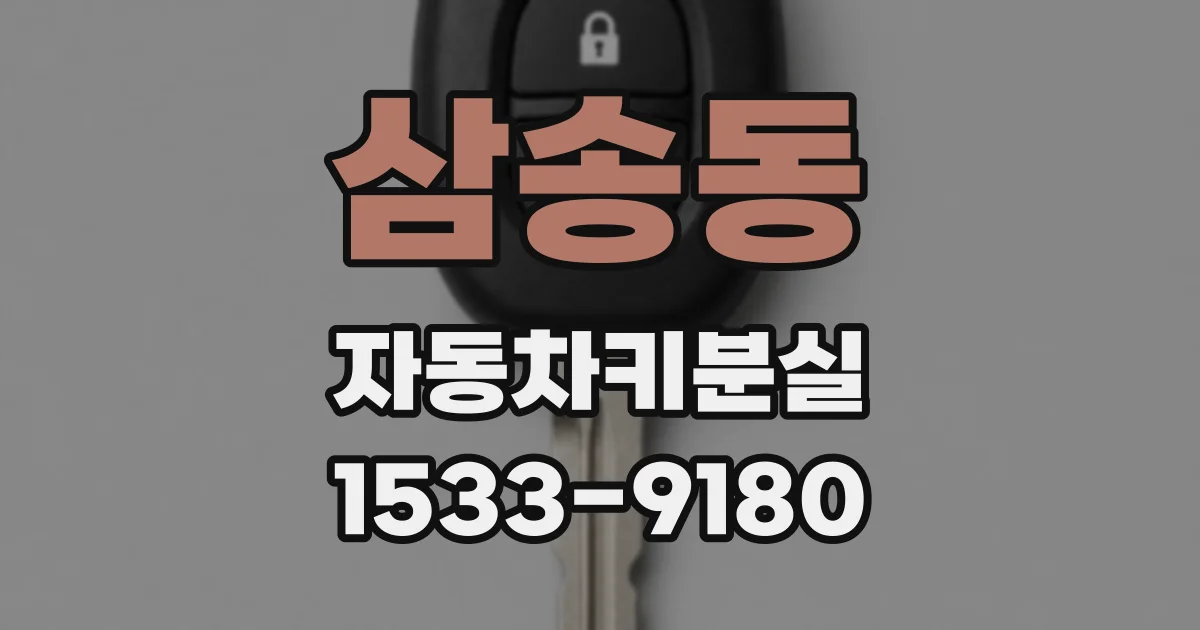 삼송동 자동차키분실