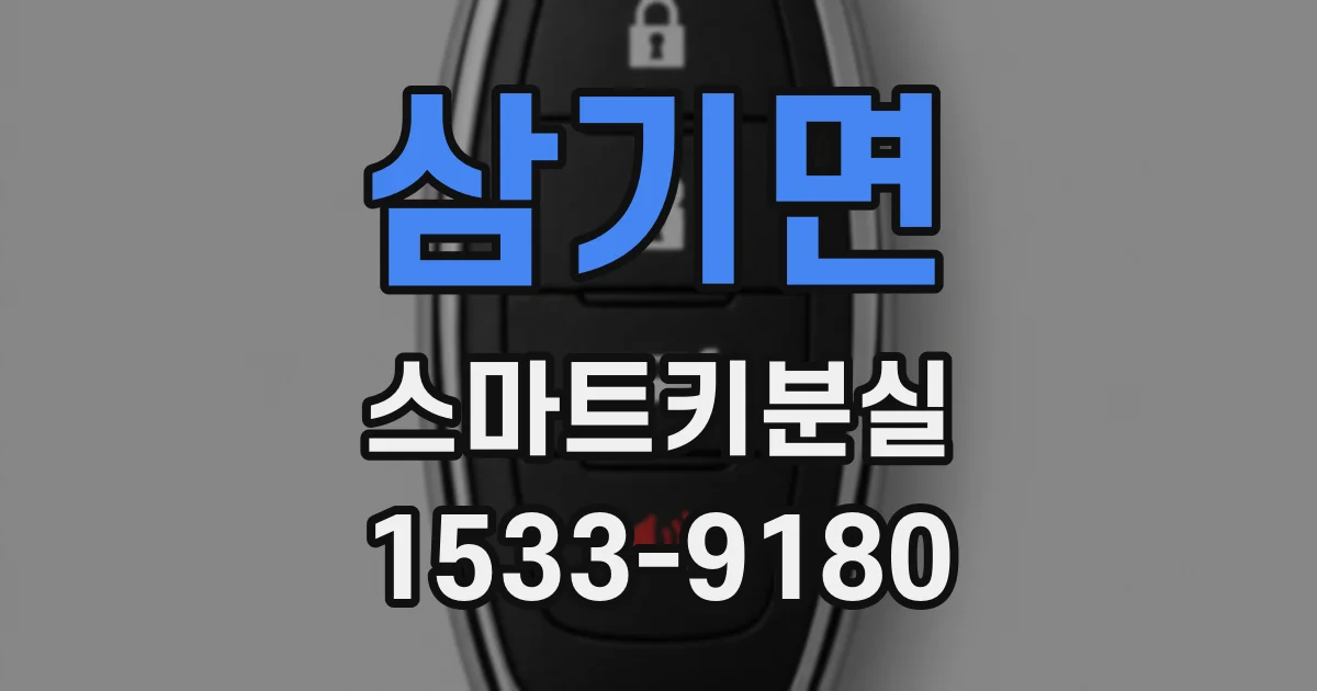 삼기면 스마트키분실