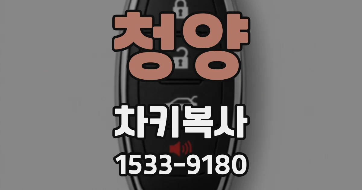 청양 차키복사