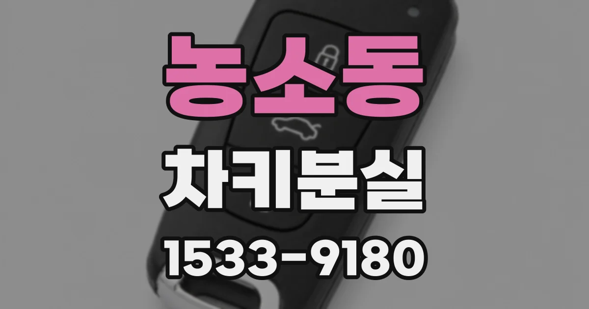 농소동 차키분실