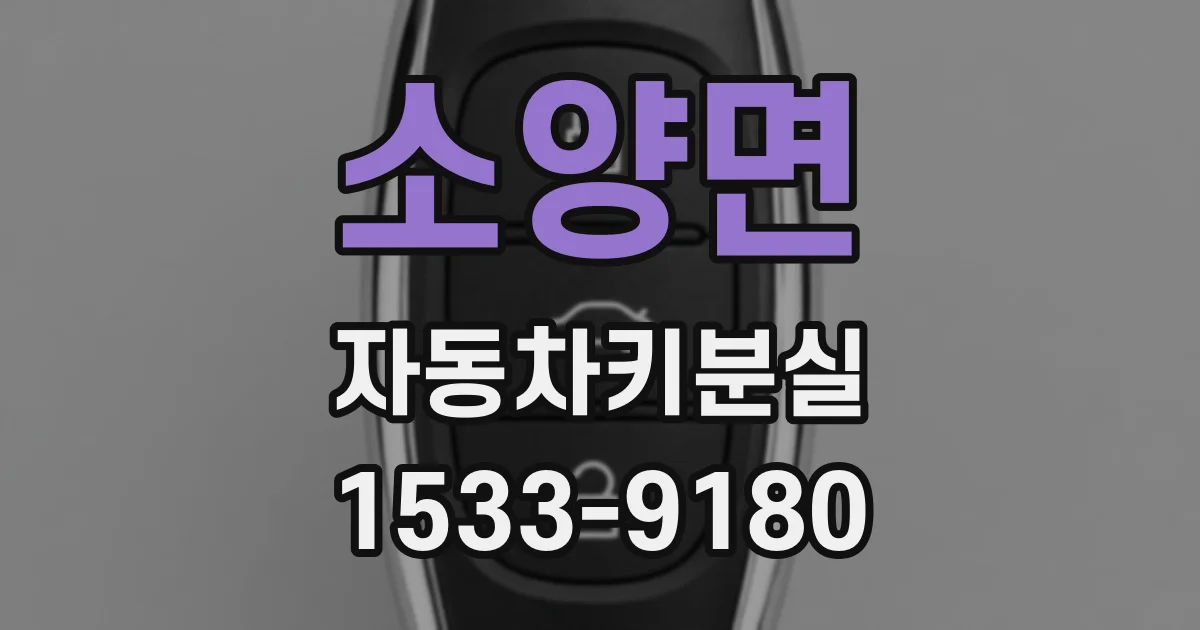 소양면 자동차키분실