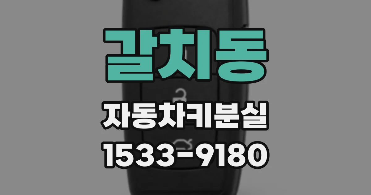 갈치동 자동차키분실