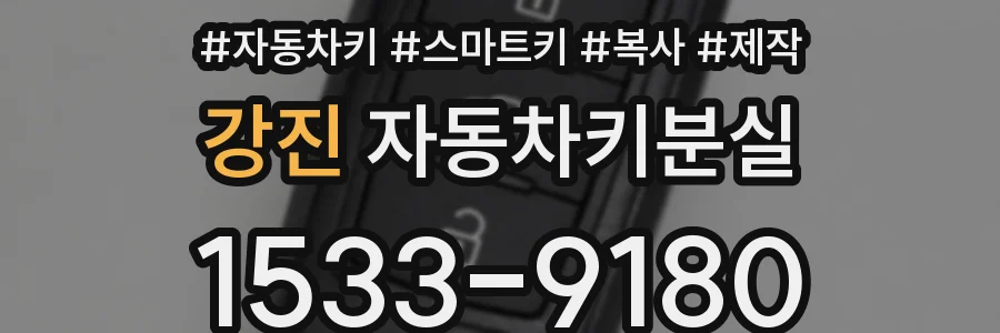 강진 자동차키분실