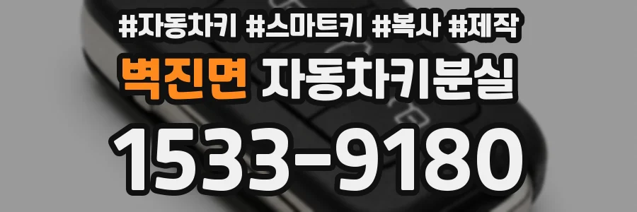 벽진면 자동차키분실