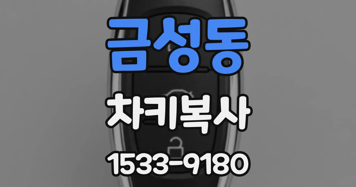 금성동 차키복사