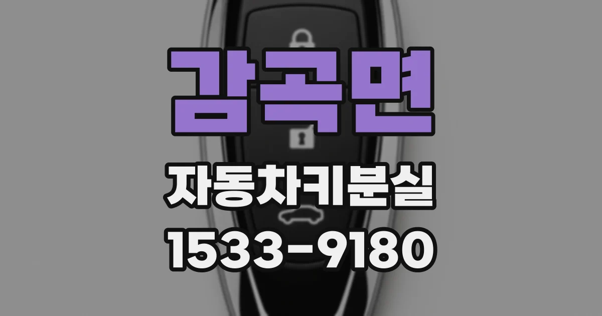 감곡면 자동차키분실