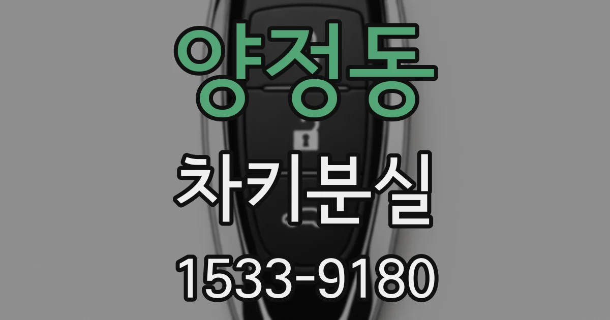 양정동 차키분실