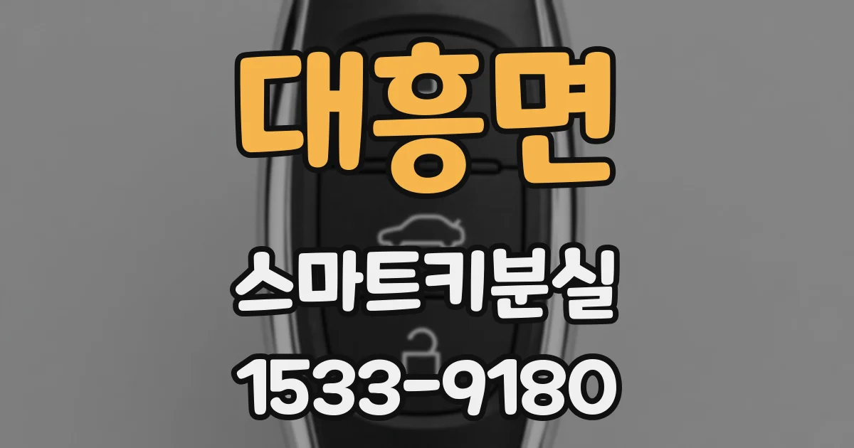 대흥면 스마트키분실