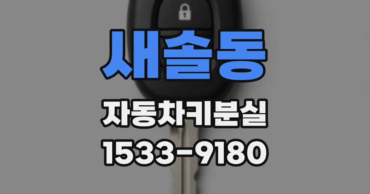 새솔동 자동차키분실