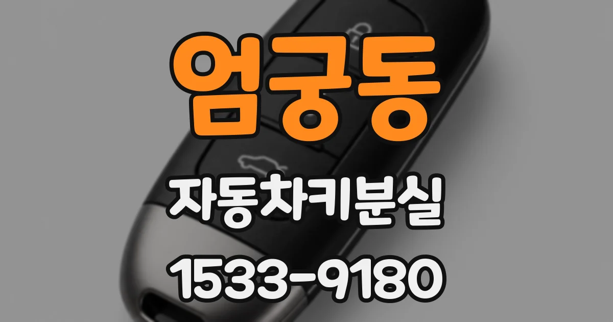 엄궁동 자동차키분실
