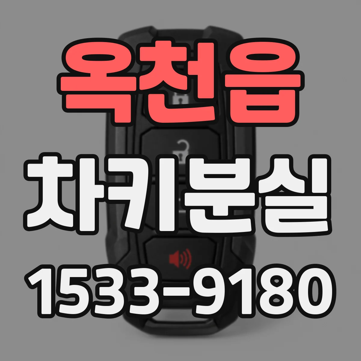 옥천읍 차키분실