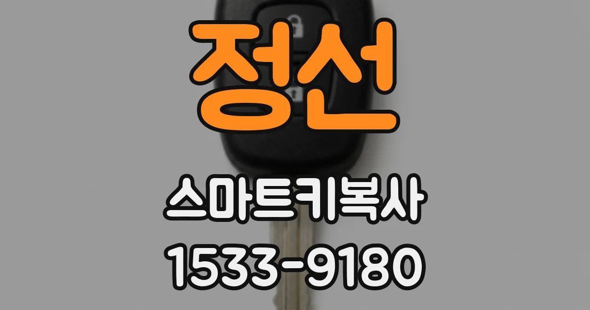 정선 스마트키복사