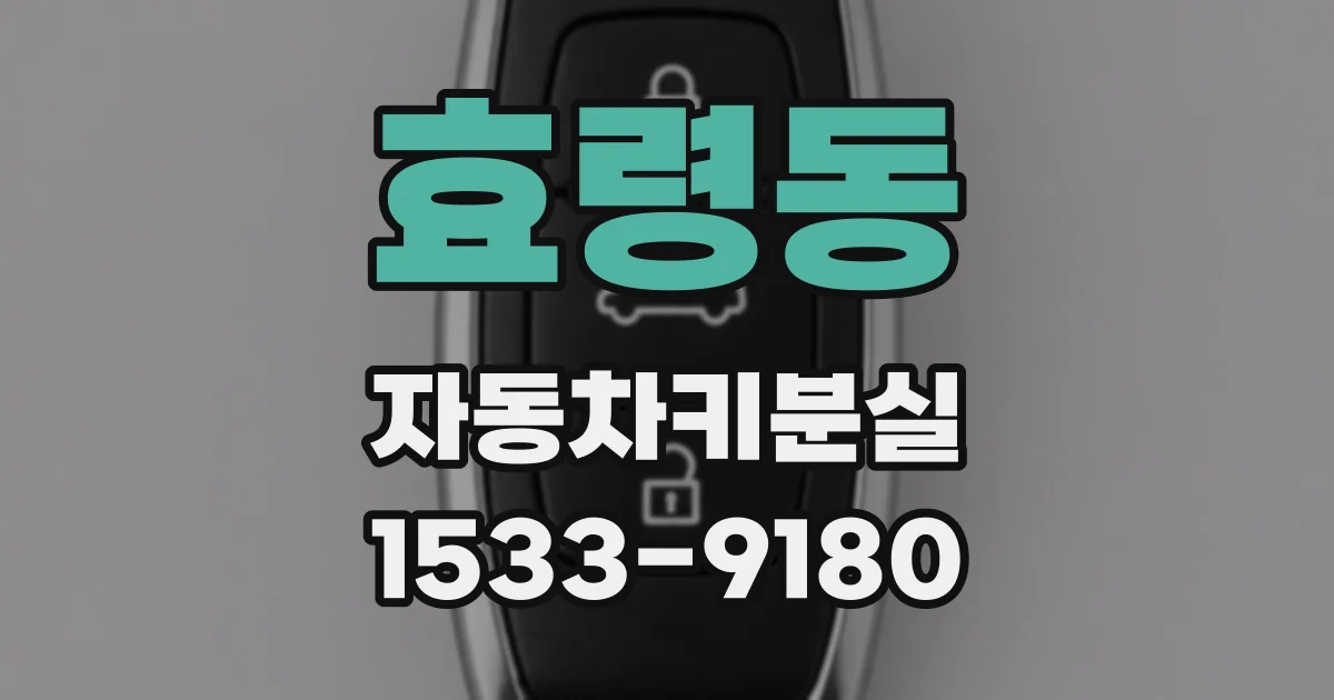 효령동 자동차키분실