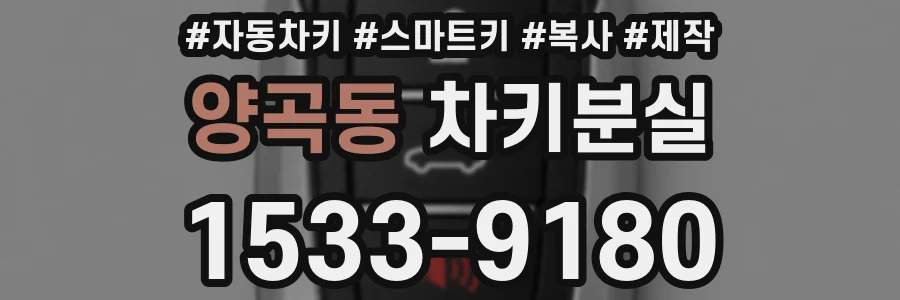 양곡동 차키분실
