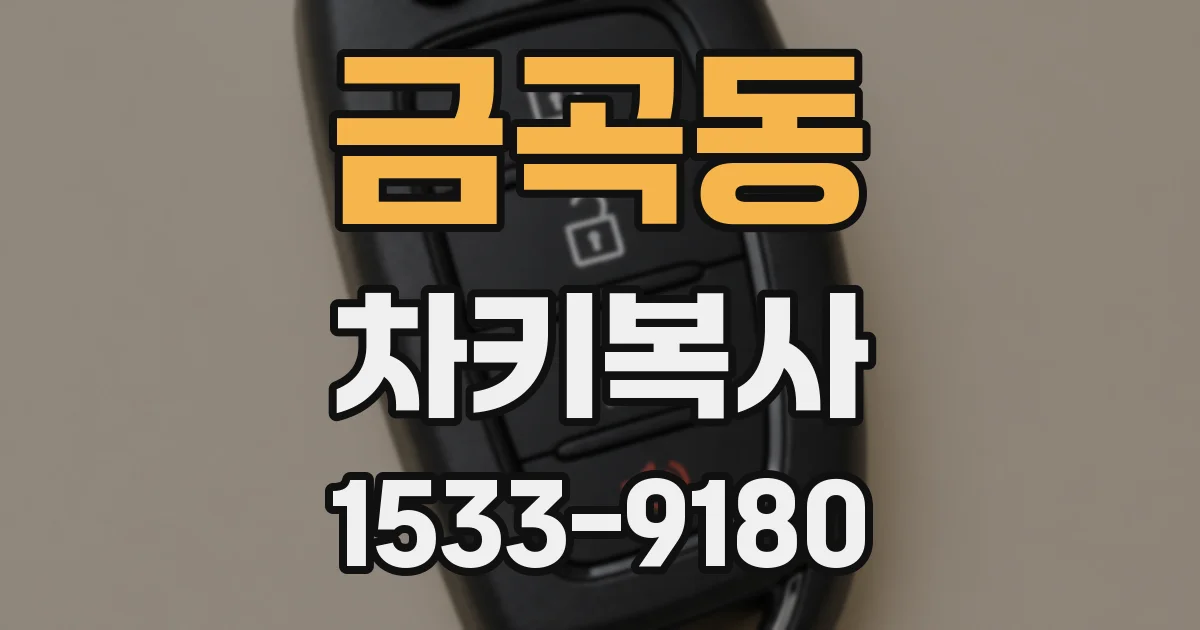 금곡동 차키복사
