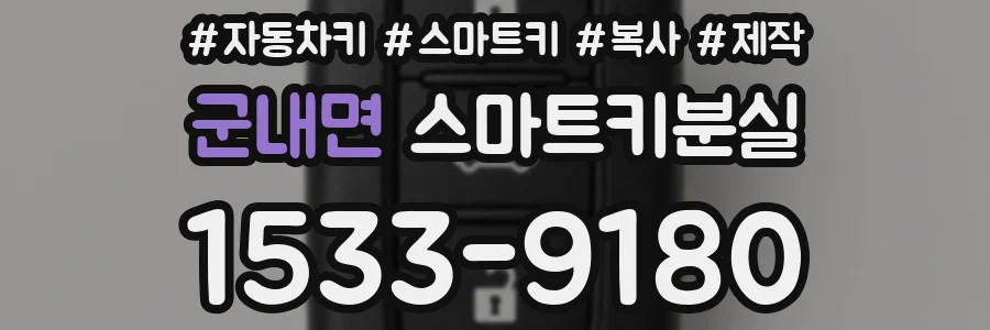 군내면 스마트키분실