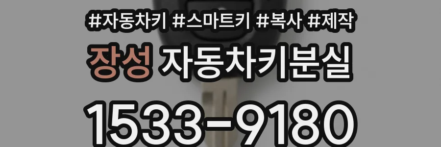 장성 자동차키분실