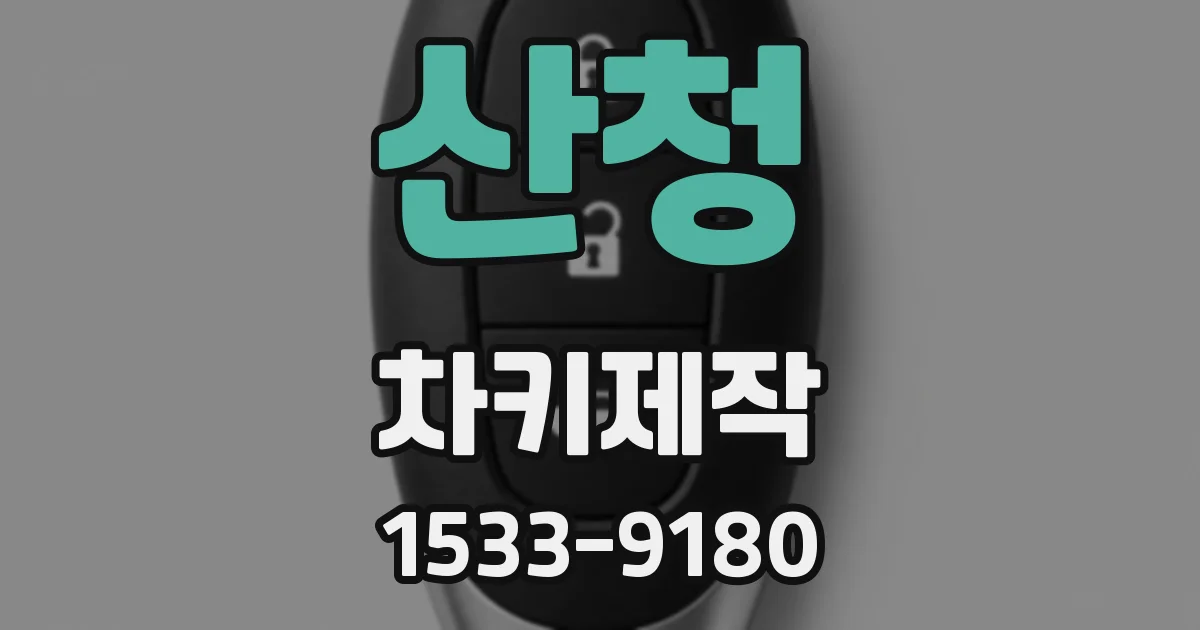 산청 차키제작