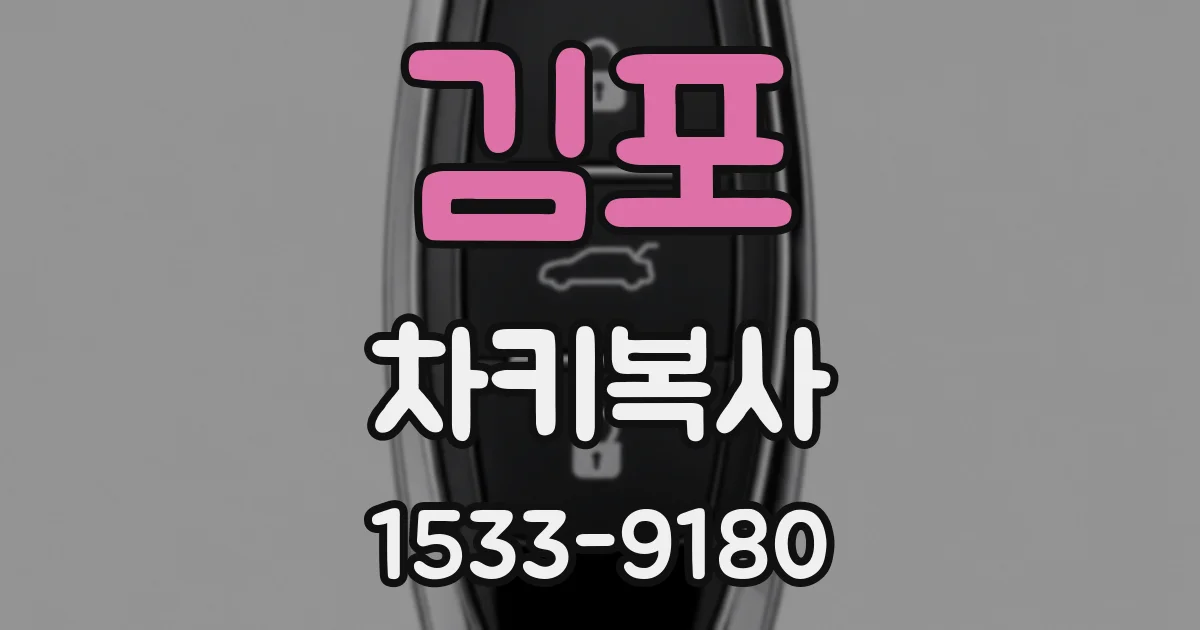 김포 차키복사