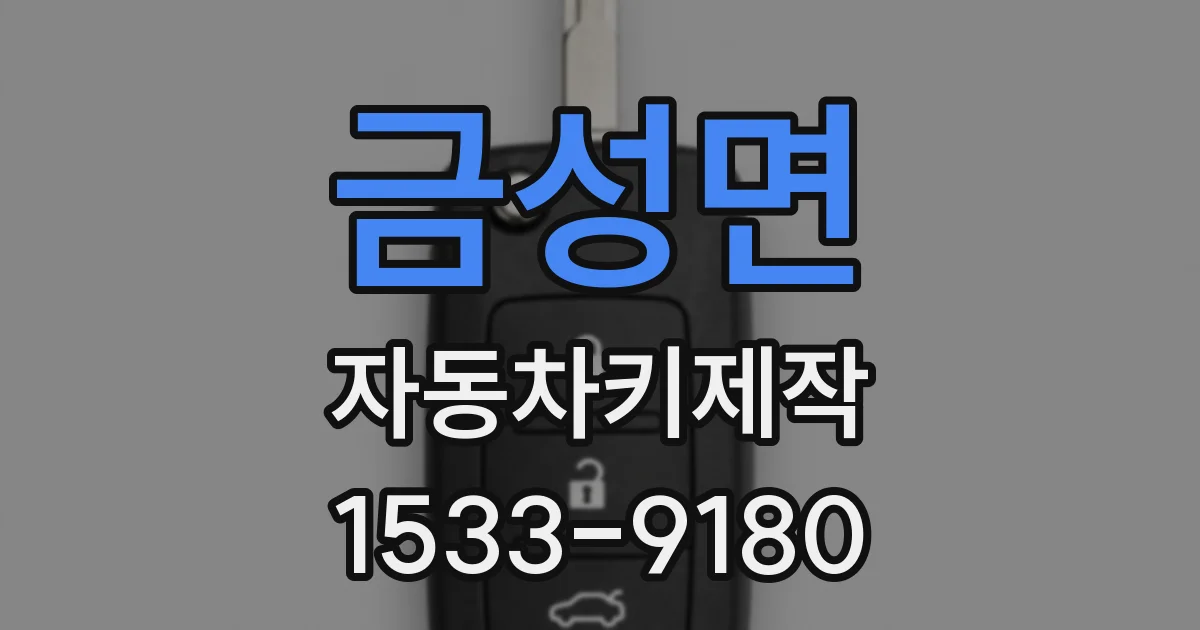 금성면 자동차키제작