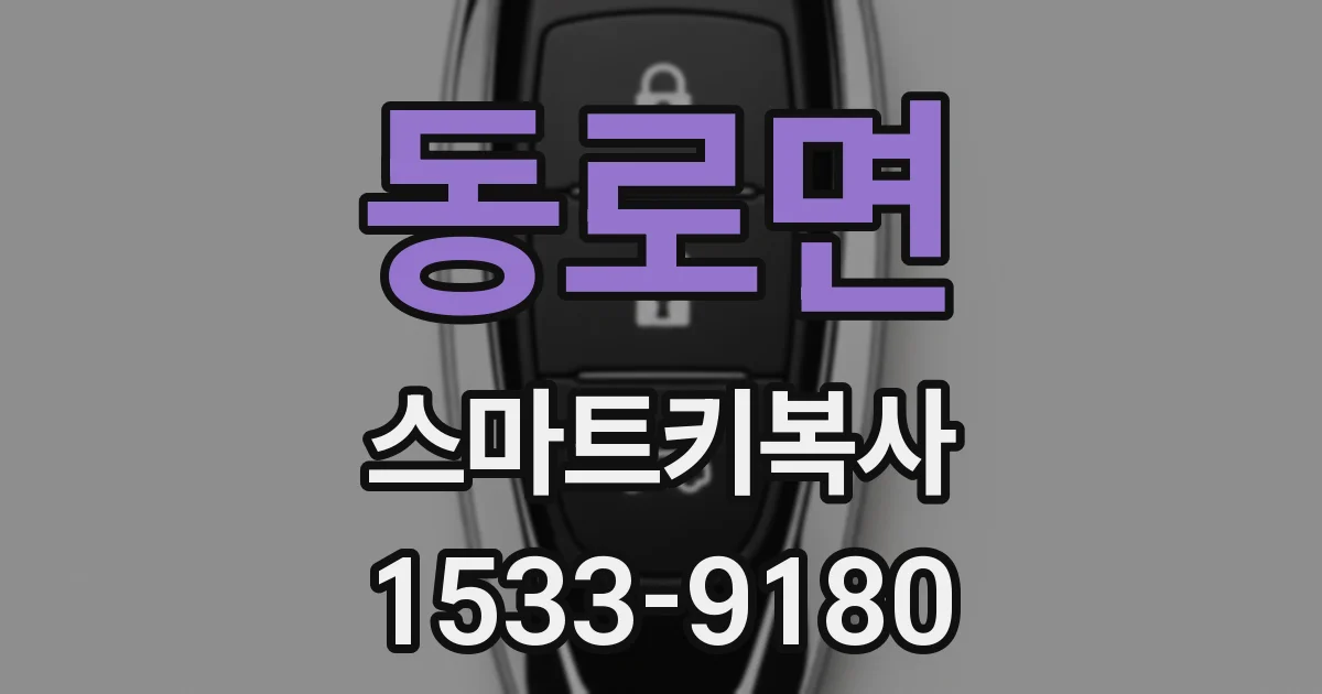 동로면 스마트키복사