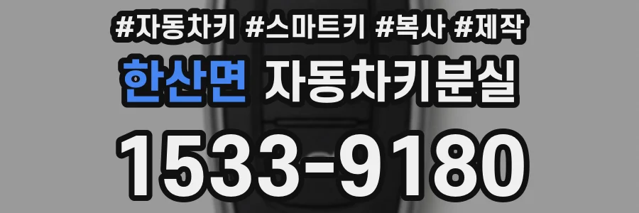 한산면 자동차키분실