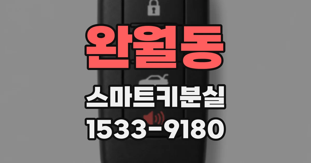 완월동 스마트키분실